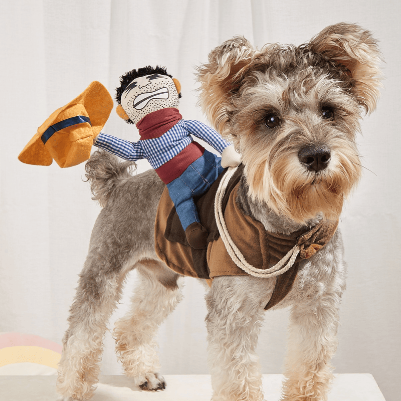 Dog Collections
